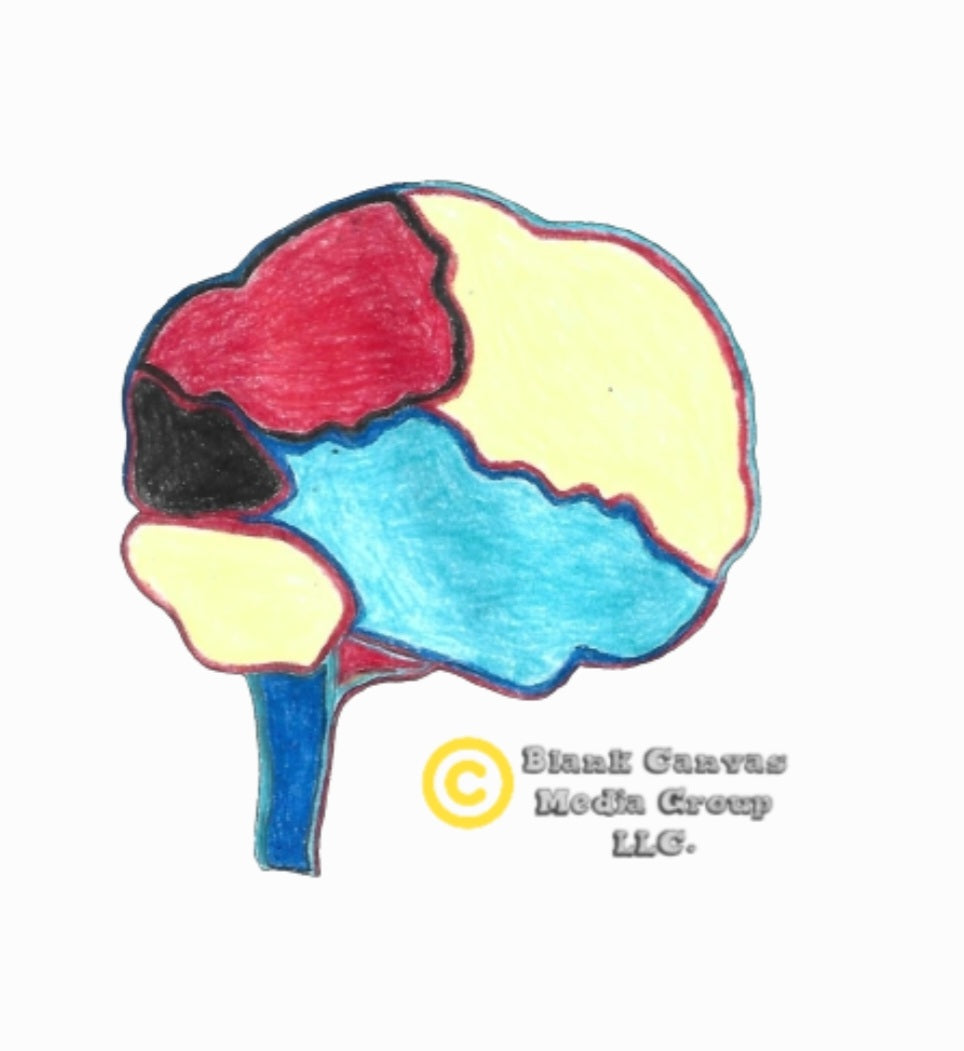 Corporate Creator Bundle (Women's)