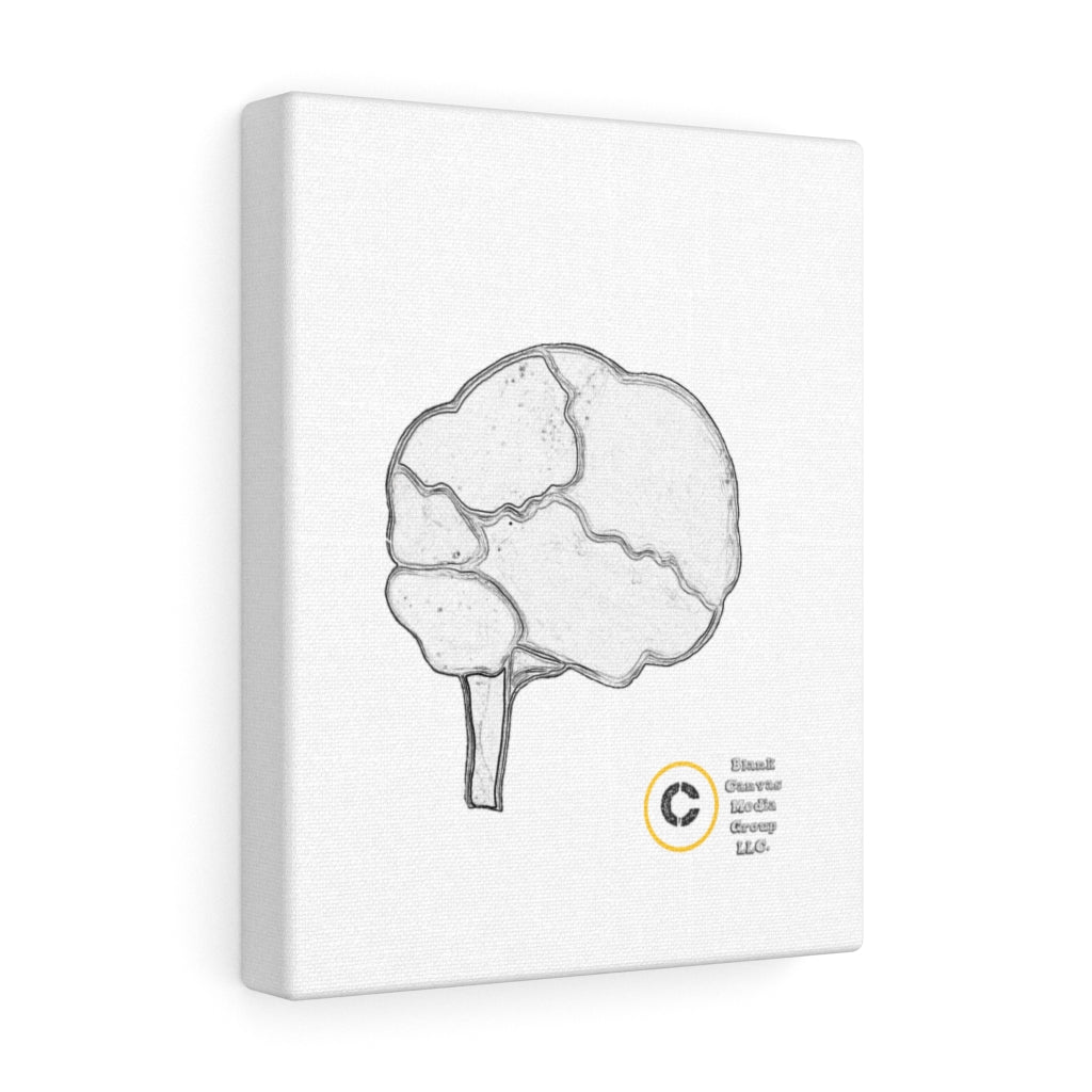 Quick Paint: Thought Process 1