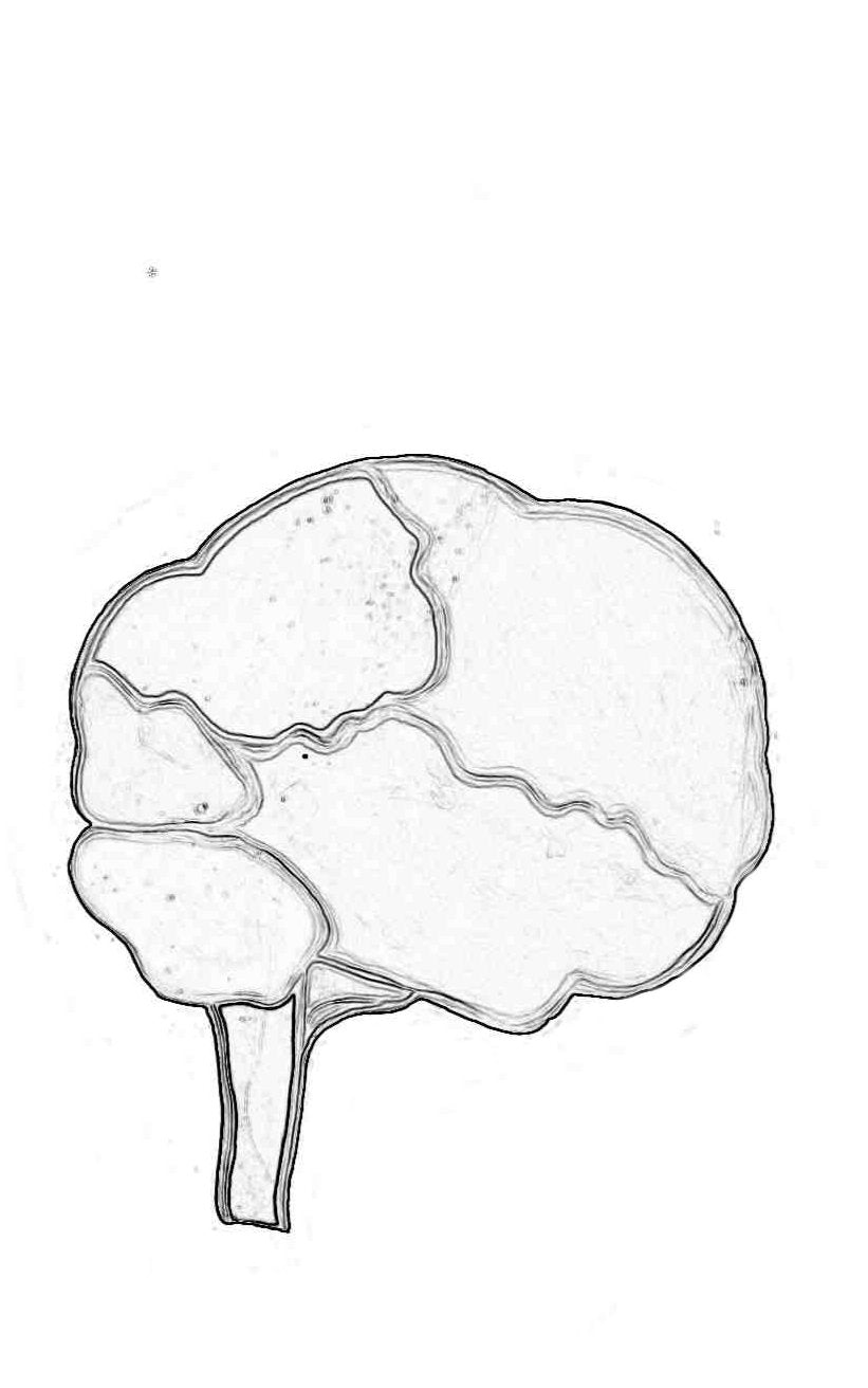 Cognition Printable 1: "Thought Process."