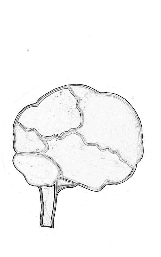 Cognition Printable 1: "Thought Process."